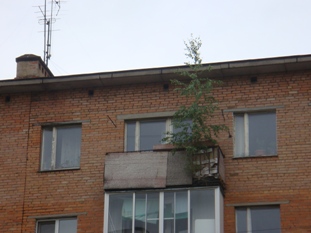 Круглый стол по борьбе с коррупцией