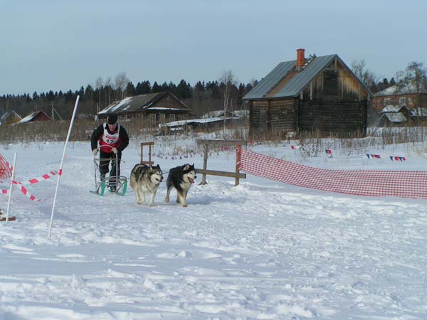 Соревнования по ездовому спорту