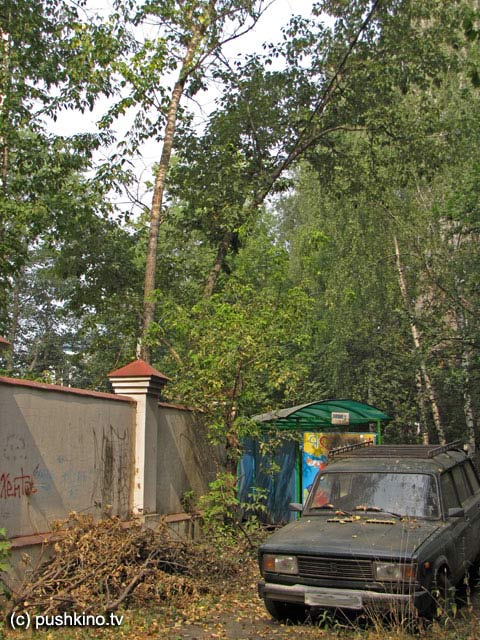 Жара в Пушкино