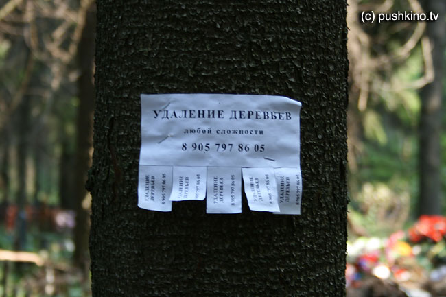 Объявление