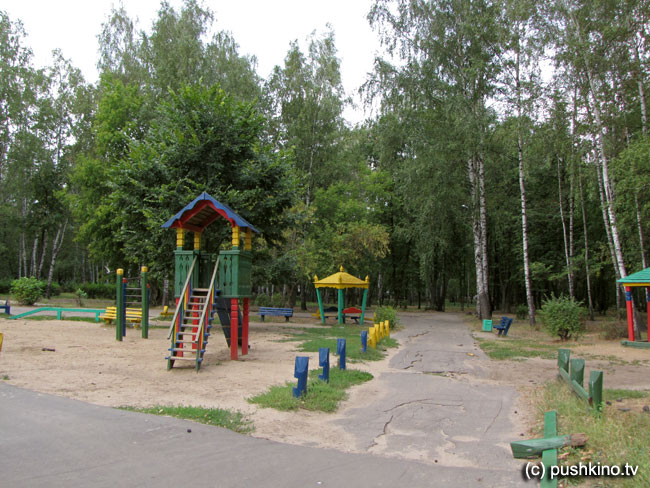 Городской парк Пушкино