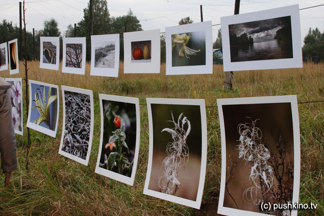 PHOTOFIELDS-2010