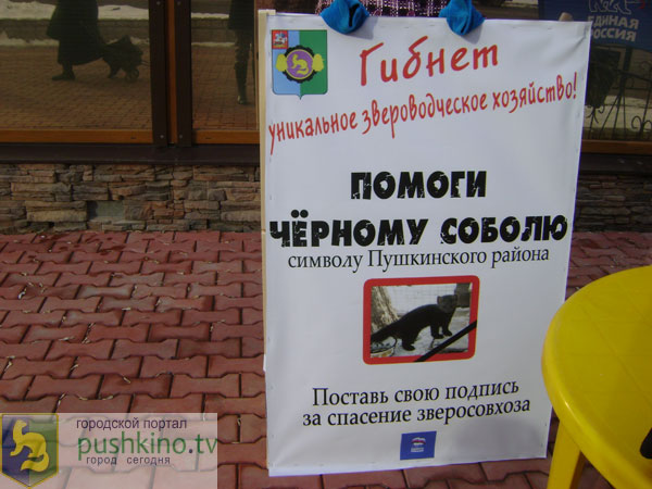 Акция в поддержку Зверосовхоза