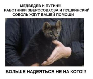 Поддержи Зверосовхоз