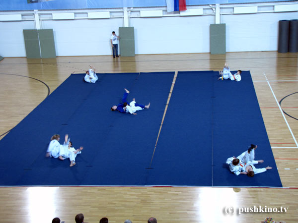 Дворец спорта
