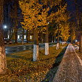 Аллейка