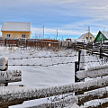 Изгородь
