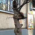 Удобная лежанка :)