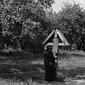 Богомолица