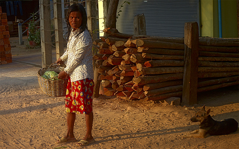 Who is who