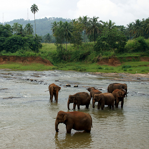 on the river Ma Oya