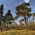 Апрельские зарисовки
