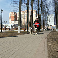 хаски-клуб-катание детей