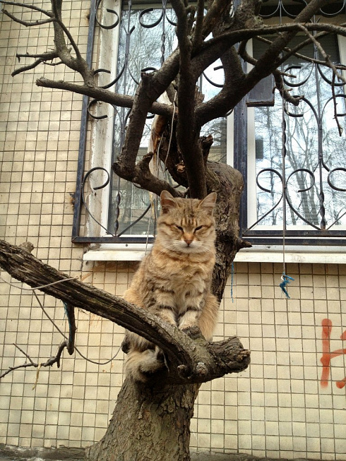Проснулись :)