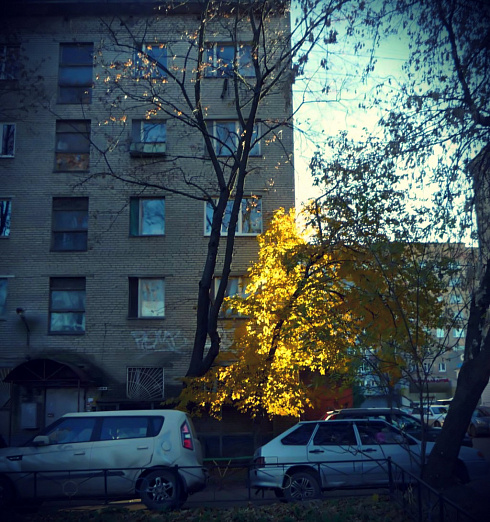Золотая осень на Московском
