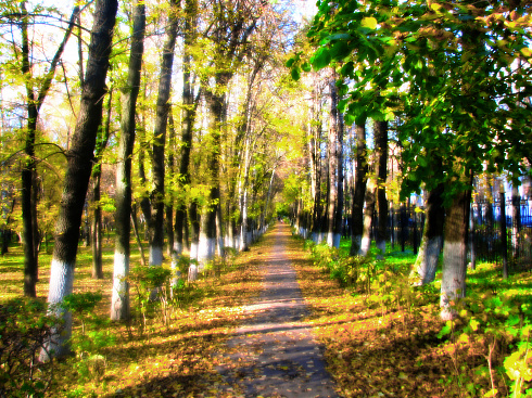 В парке