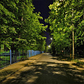 Летняя ночь в городе