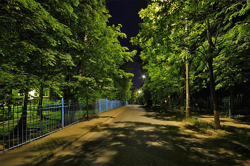 Летняя ночь в городе