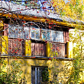 В ярких красках
