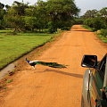 Национальный парк Yala, Sri lanka