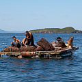 Пираты Японского моря.